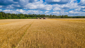 В Белоруссии не будут приватизировать сельхозземли – Лукашенко 